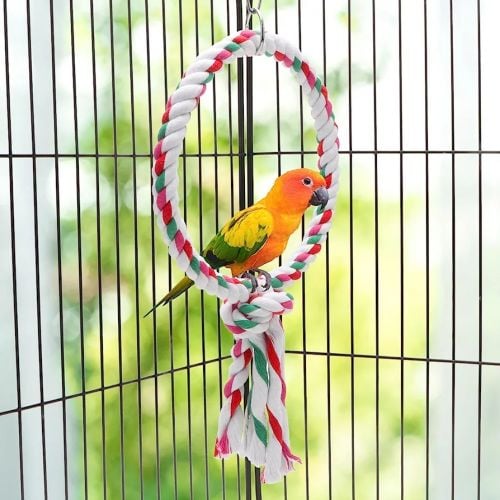 Bird game