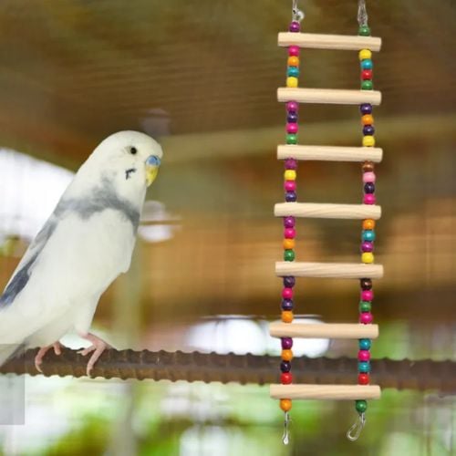 Bird best game