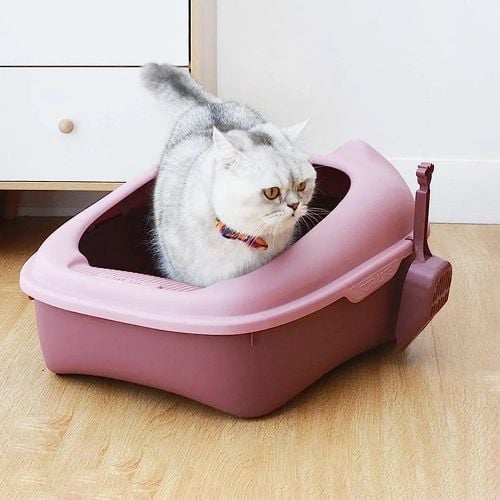 Cat litter box
