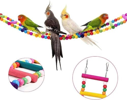 bird game