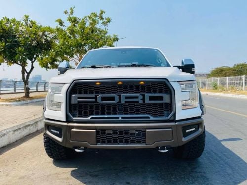 grill f150