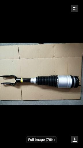 يوجد جميع انواع الجنبينات الهيدرو