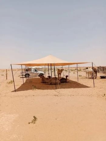 الديرة 