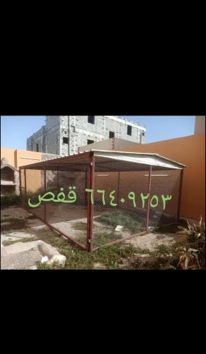 قفص حمامت