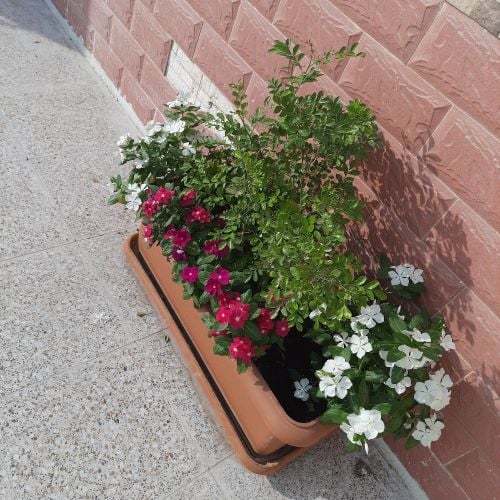 للاحواض الزراعية