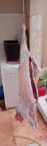 قصاب لذبح الاضاحي