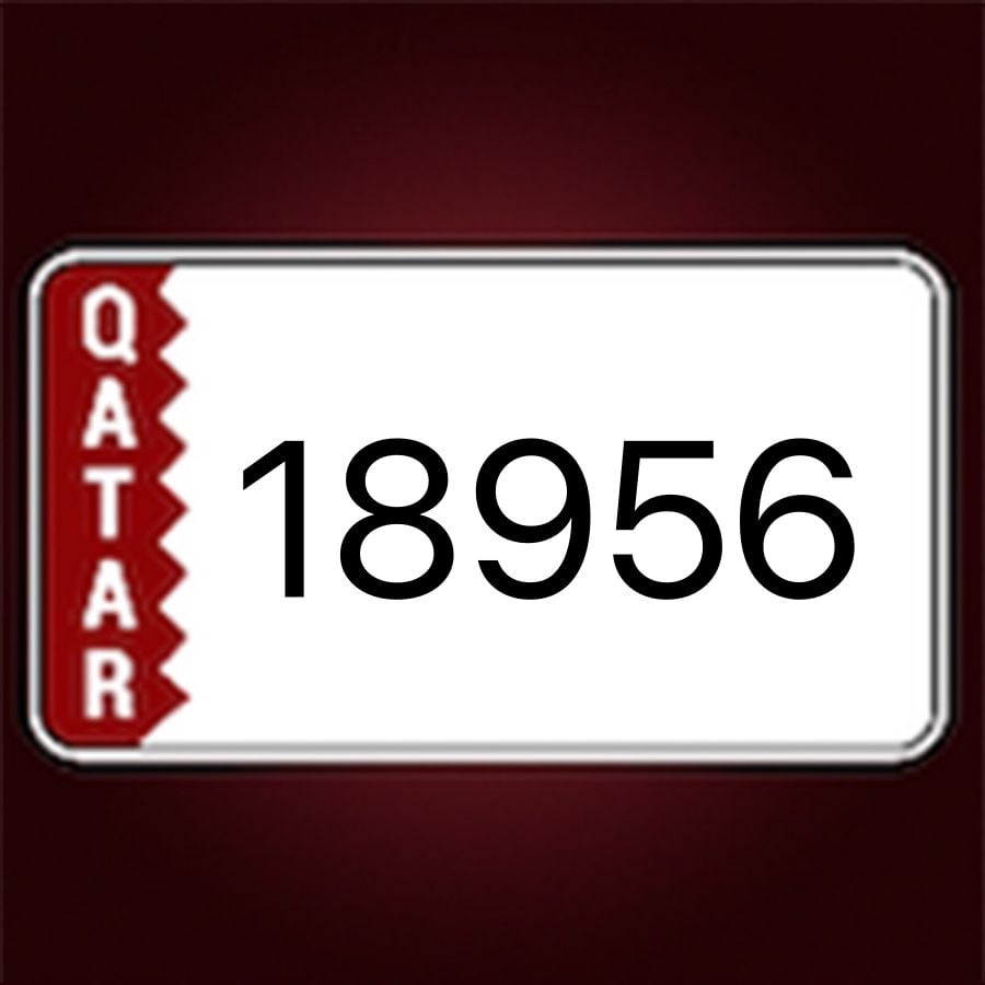18956
