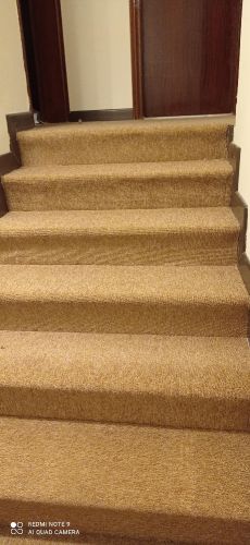 step turkey carpet.