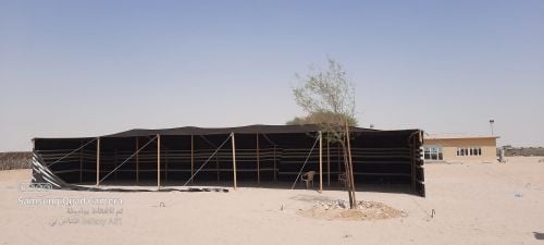 للبيع بيت شعر شمالي عمود خشب اصلي