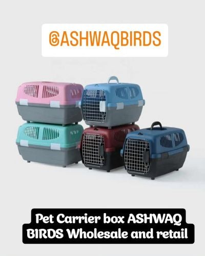 dog and cat carrier box