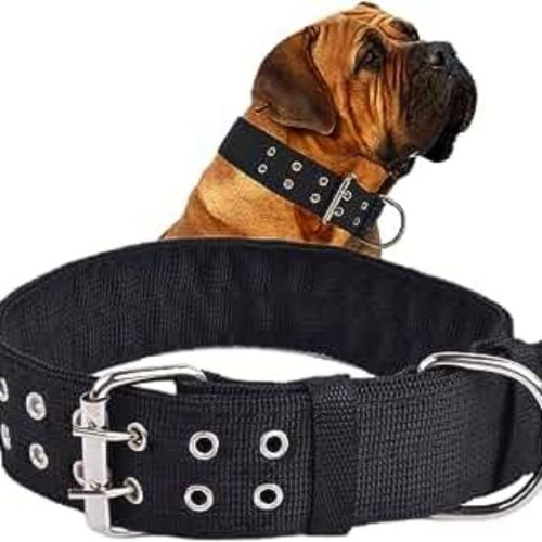 dog necklace