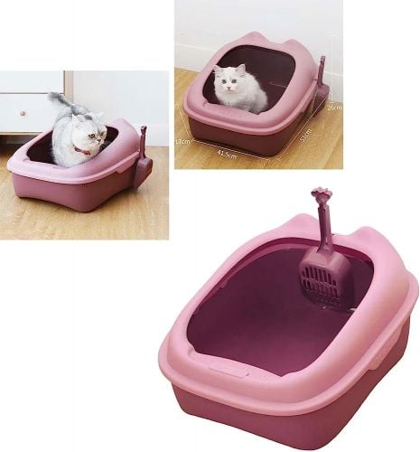 cat letter box