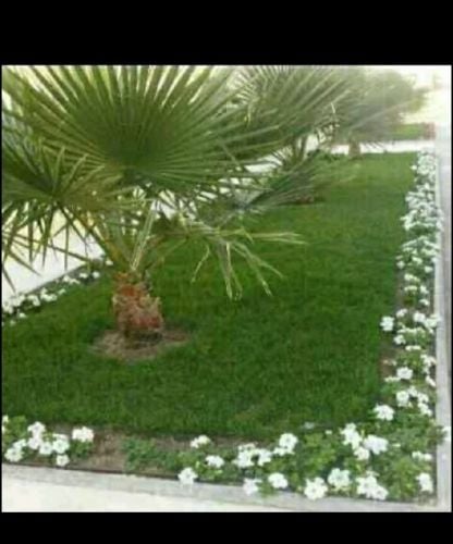 زراعة وتنسيق الحدائق 