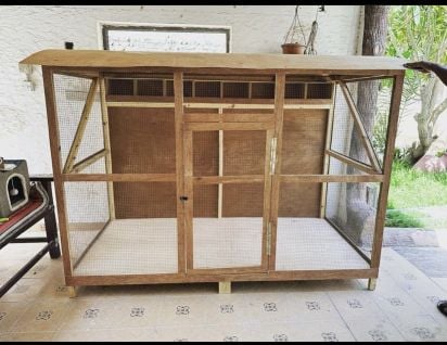 Bird cage 