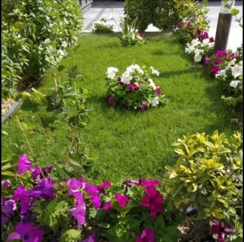 ‎‎‎‎‎‎‎حدائق