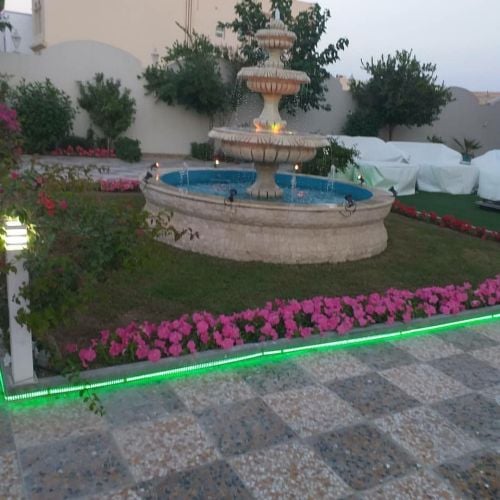 صيانة وزراعة