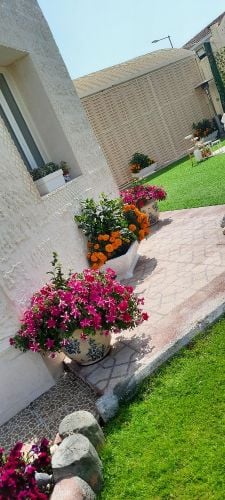 متابعة الحدائق 