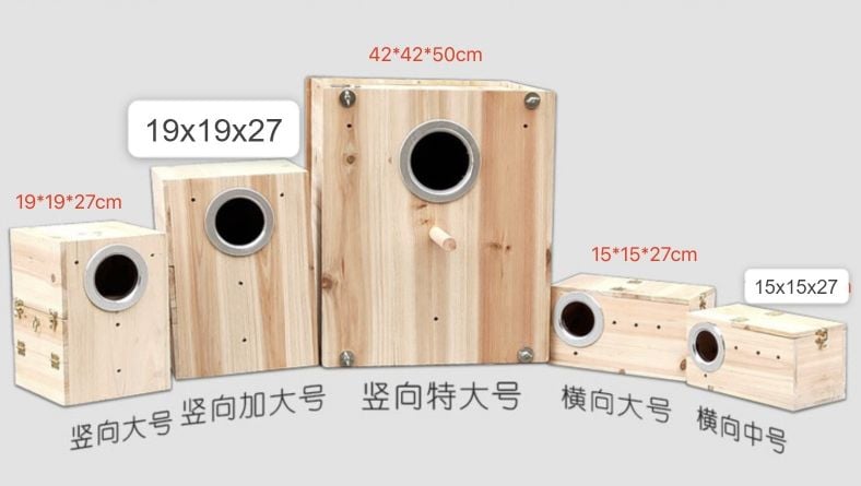 Nest Box for Birds