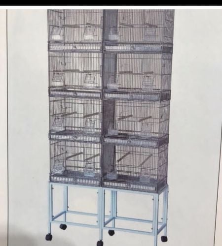 birds cages c.