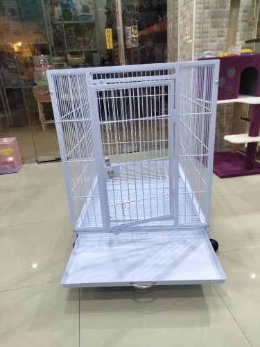 dog & cat cages