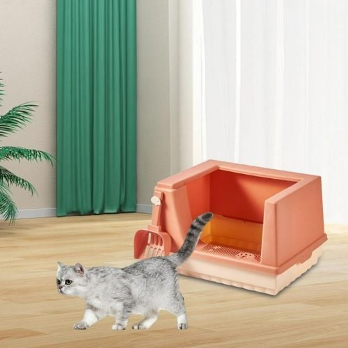 cat letter box