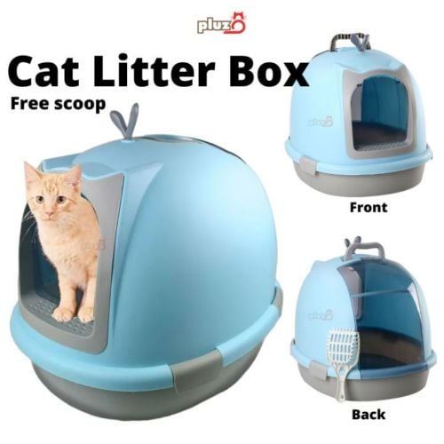 cat letter boxbig size letter box