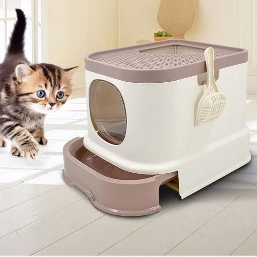 cat letter box my trey