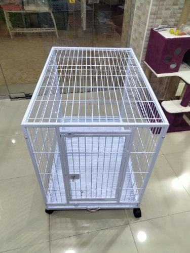 cat and dog cages
