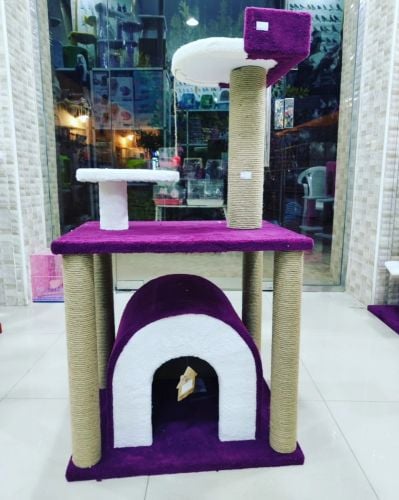 cat stand