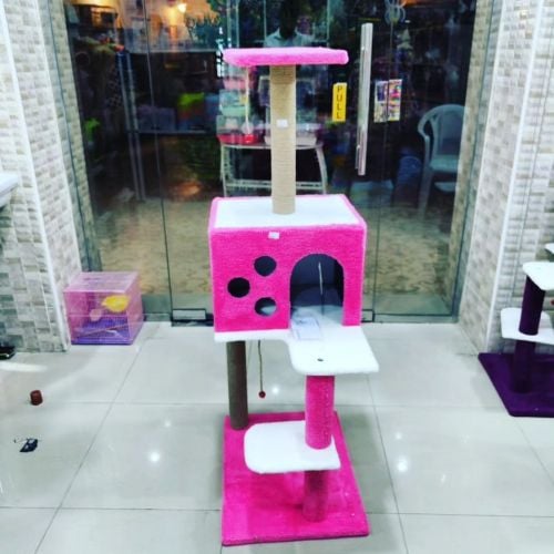 cat stand