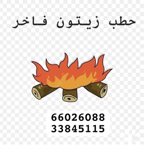 حطب زيتون فاخر