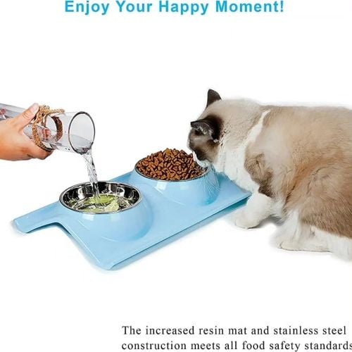 cat and dog bowls with steel