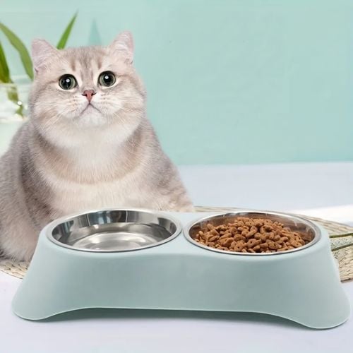 cat bowls with steel