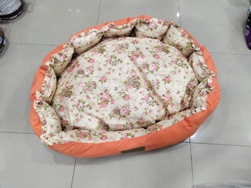 dog  farsh