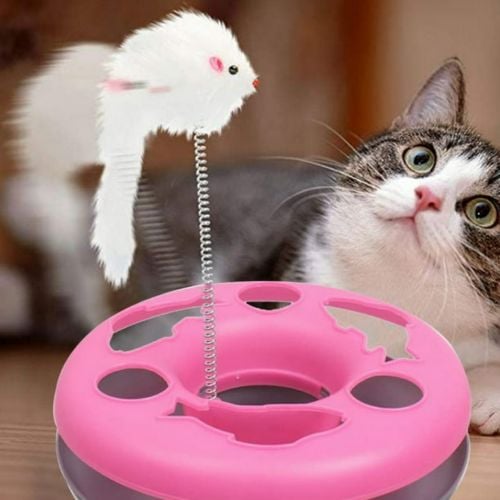 cat toy