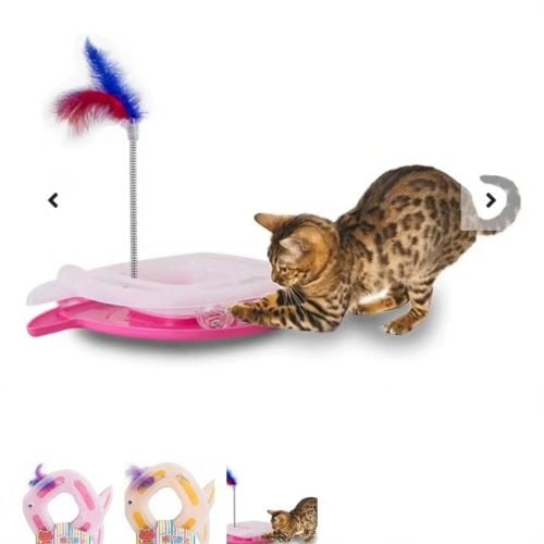 cat toy fish