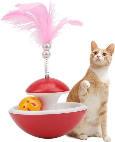 cat toy