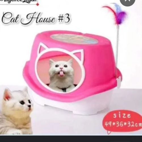 cat house whith letter box