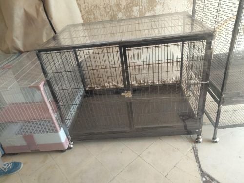 dog cage