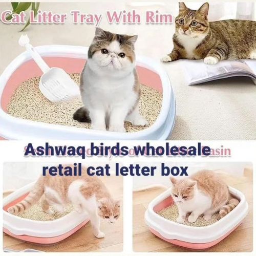 cat letter box scop free