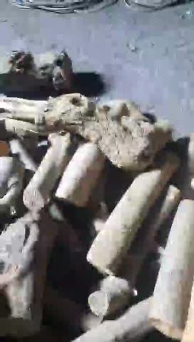 متوفر حطب زيتون وفحم كرتون ١٠ كيل