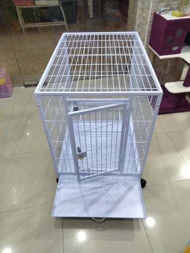 dog cat cages