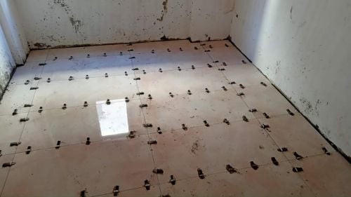 تركيب سيراميك شامل
