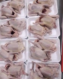 فروخ حمام لاحم جامبو