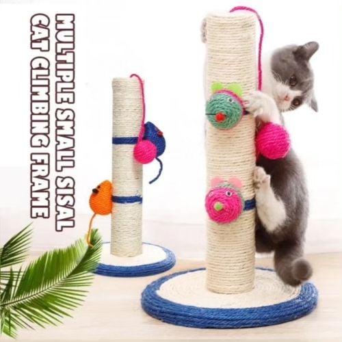 cat best screening post with toy