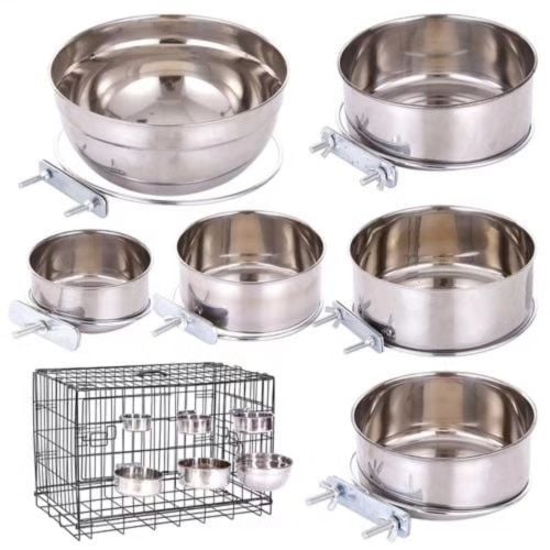 pet bowl 25 qr