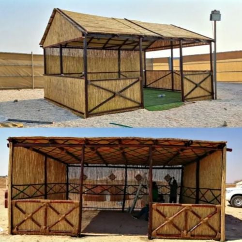 العريش