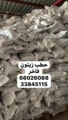 حطب