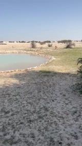 غطاسات بالطاقه الشمسيه