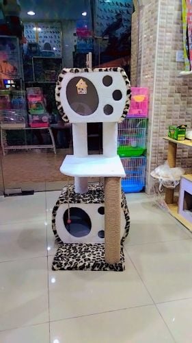 cat satand